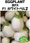 ホワイトベル